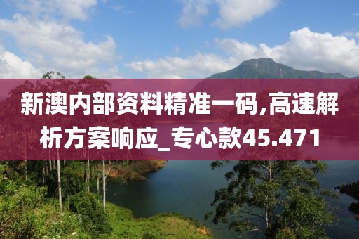 新澳内部资料精准一码,高速解析方案响应_专心款45.471
