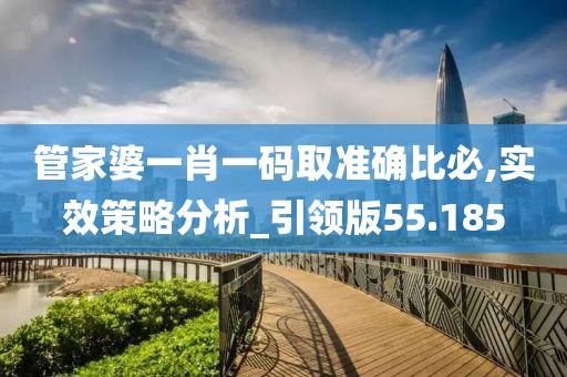 管家婆一肖一码取准确比必,实效策略分析_引领版55.185