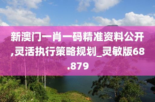 新澳门一肖一码精准资料公开,灵活执行策略规划_灵敏版68.879