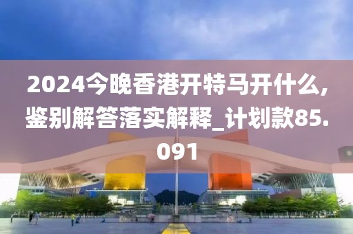2024今晚香港开特马开什么,鉴别解答落实解释_计划款85.091