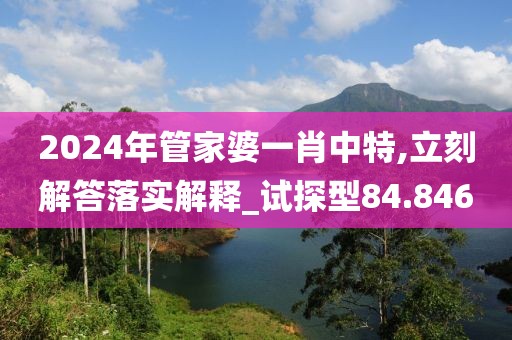 2024年管家婆一肖中特,立刻解答落实解释_试探型84.846