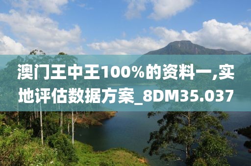 澳门王中王100%的资料一,实地评估数据方案_8DM35.037