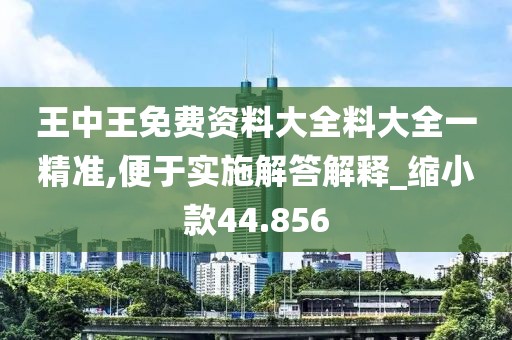 王中王免费资料大全料大全一精准,便于实施解答解释_缩小款44.856