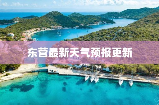 东营最新天气预报更新