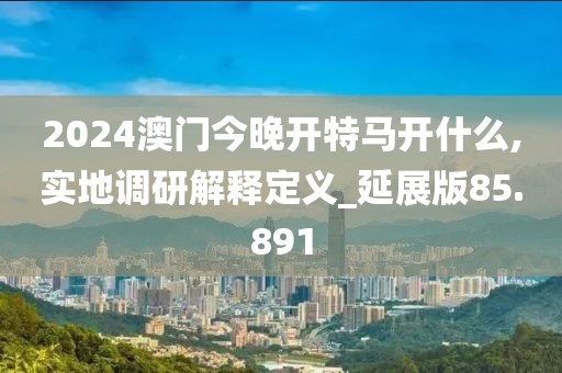 2024澳门今晚开特马开什么,实地调研解释定义_延展版85.891