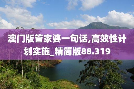 澳门版管家婆一句话,高效性计划实施_精简版88.319