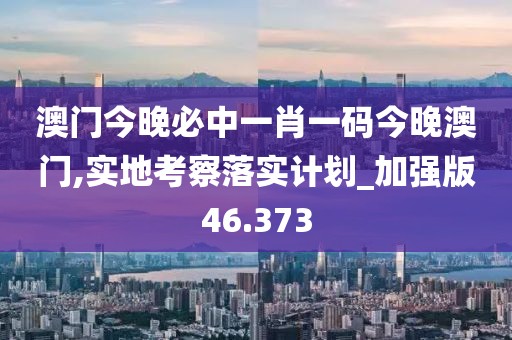 澳门今晚必中一肖一码今晚澳门,实地考察落实计划_加强版46.373