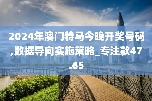 2024年澳门特马今晚开奖号码,数据导向实施策略_专注款47.65