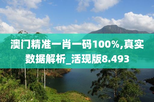 澳门精准一肖一码100%,真实数据解析_活现版8.493