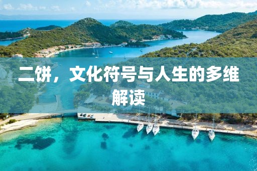 二饼，文化符号与人生的多维解读