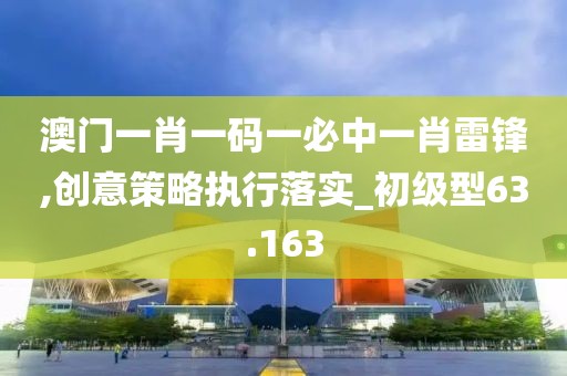 澳门一肖一码一必中一肖雷锋,创意策略执行落实_初级型63.163