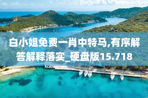 白小姐免费一肖中特马,有序解答解释落实_硬盘版15.718