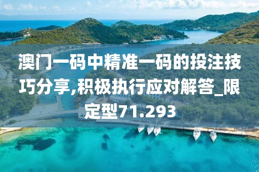 澳门一码中精准一码的投注技巧分享,积极执行应对解答_限定型71.293