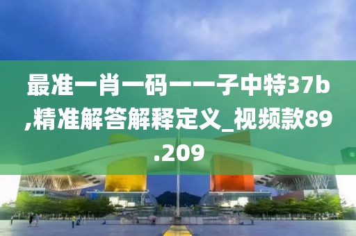 最准一肖一码一一子中特37b,精准解答解释定义_视频款89.209