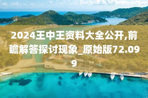 2024王中王资料大全公开,前瞻解答探讨现象_原始版72.099