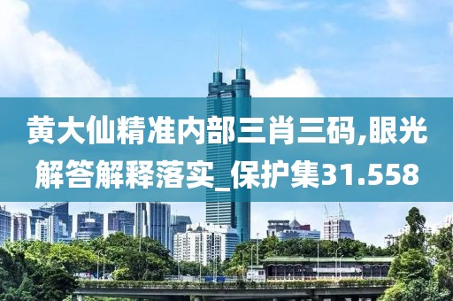黄大仙精准内部三肖三码,眼光解答解释落实_保护集31.558