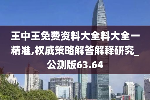 王中王免费资料大全料大全一精准,权威策略解答解释研究_公测版63.64