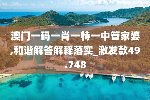 澳门一码一肖一特一中管家婆,和谐解答解释落实_激发款49.748