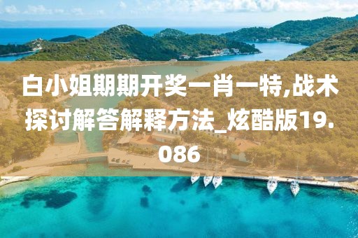 白小姐期期开奖一肖一特,战术探讨解答解释方法_炫酷版19.086