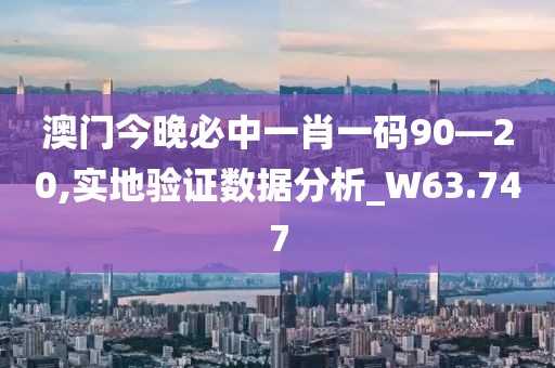 澳门今晚必中一肖一码90—20,实地验证数据分析_W63.747