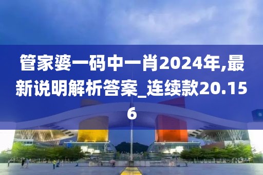 管家婆一码中一肖2024年,最新说明解析答案_连续款20.156