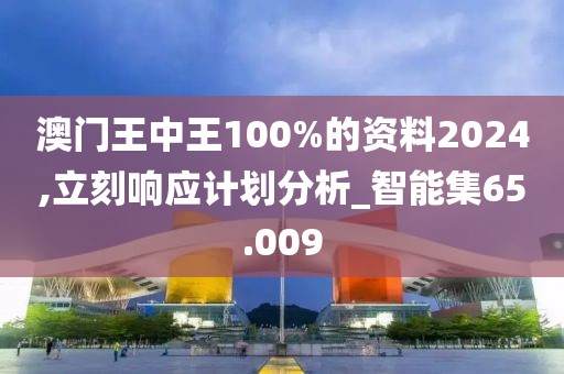 澳门王中王100%的资料2024,立刻响应计划分析_智能集65.009
