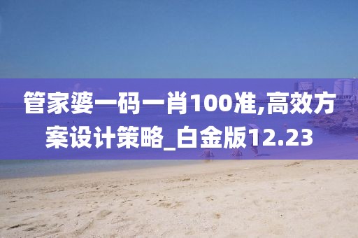 管家婆一码一肖100准,高效方案设计策略_白金版12.23