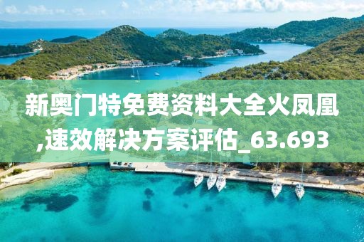 新奥门特免费资料大全火凤凰,速效解决方案评估_63.693