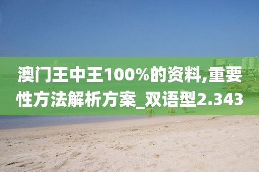 澳门王中王100%的资料,重要性方法解析方案_双语型2.343