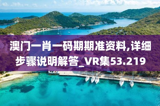 澳门一肖一码期期准资料,详细步骤说明解答_VR集53.219