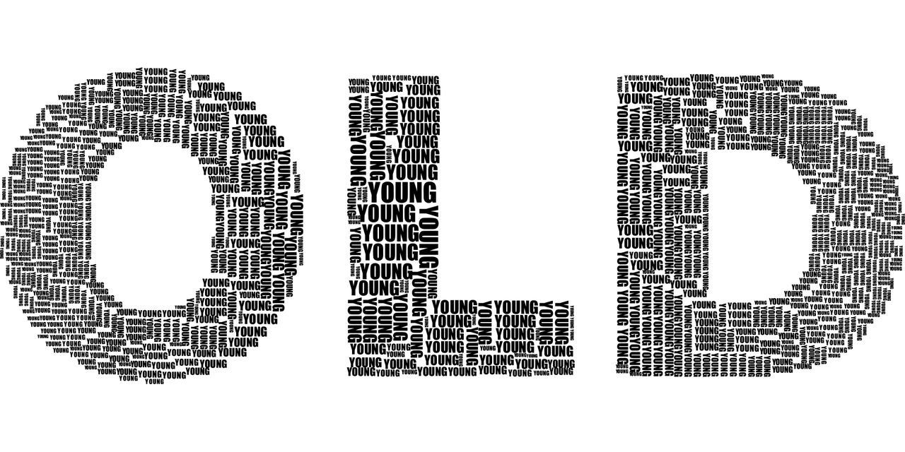 新澳天天彩免费资料2024老，科学解析与解读_L型NL8182.1881F