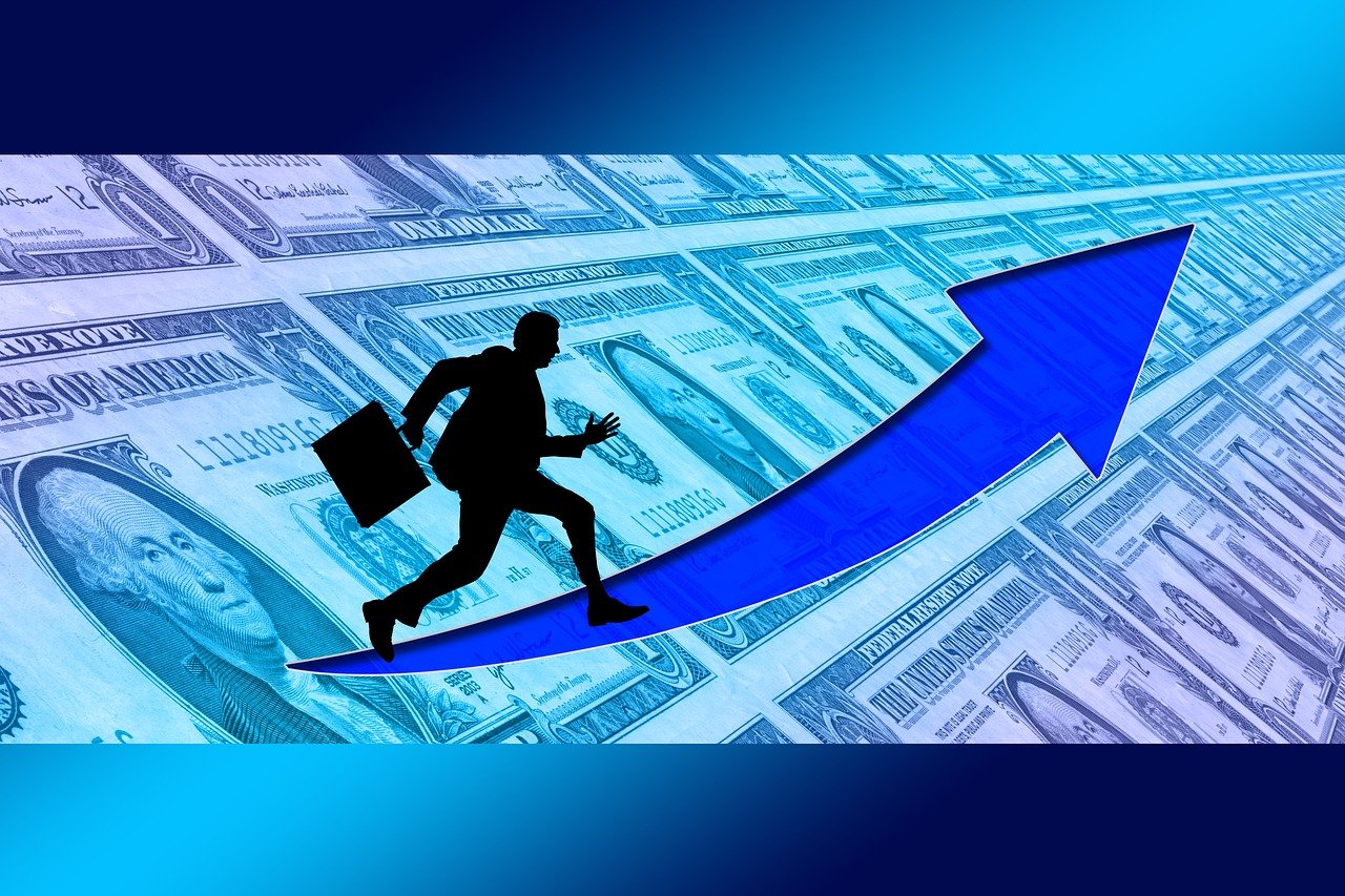 金禾实业股票行情深度解析与展望